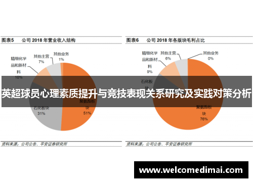 英超球员心理素质提升与竞技表现关系研究及实践对策分析