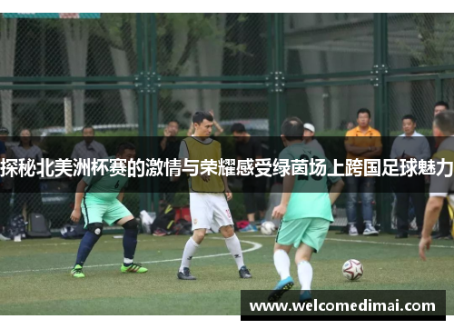 探秘北美洲杯赛的激情与荣耀感受绿茵场上跨国足球魅力