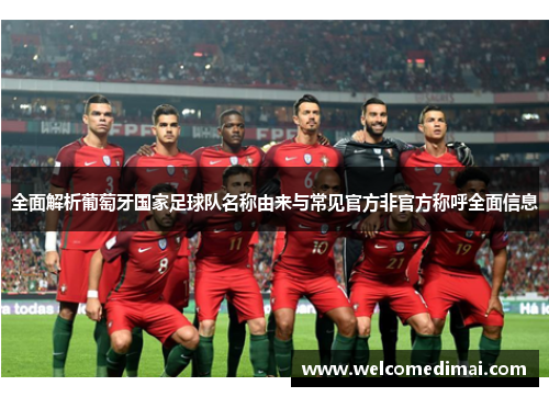全面解析葡萄牙国家足球队名称由来与常见官方非官方称呼全面信息