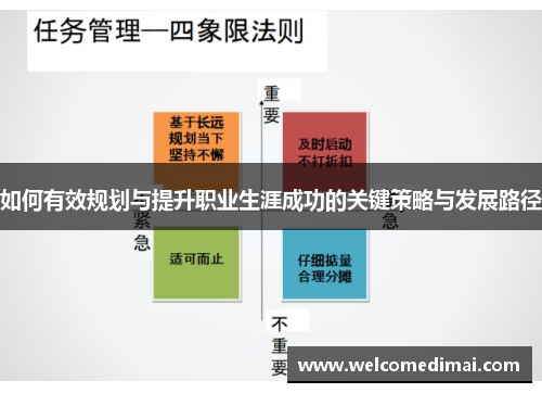 如何有效规划与提升职业生涯成功的关键策略与发展路径