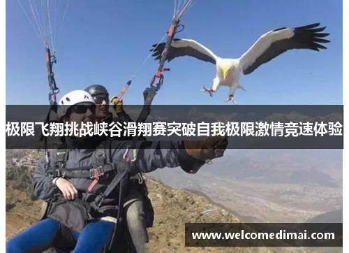 极限飞翔挑战峡谷滑翔赛突破自我极限激情竞速体验